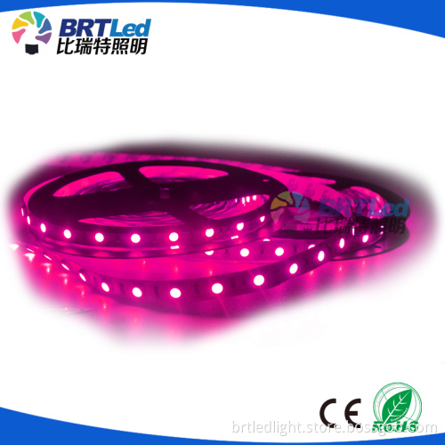 rgb led strip light 24volt led christmas lights ul